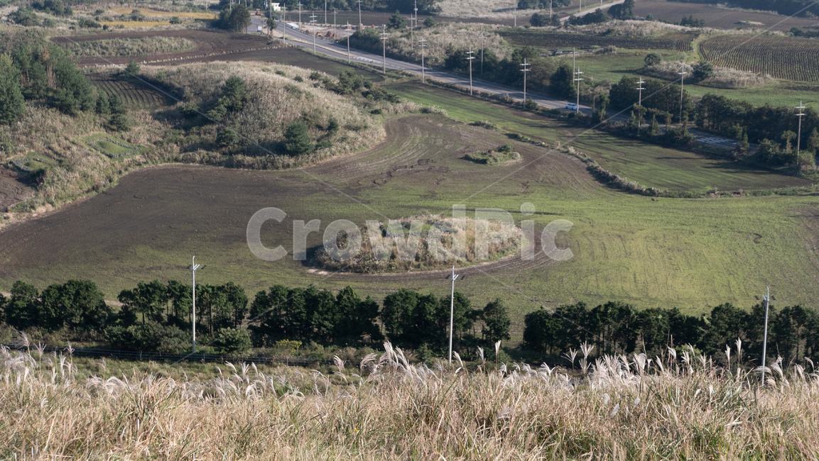 용눈이,용눈이오름,오름,orum,jeju,제주,제주도,제주오름,가을제주,가을,풍경,landscape,field,들,outdoors,옥외,목초지,grassland,자연,풍경,nature,landscape