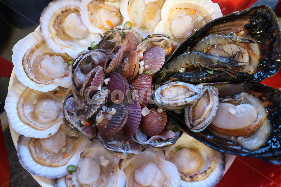 울산,조개구이,해산물,해산물구이,치즈구이,가리비,술안주,대합,invertebrate,sealife,해양생물,seashell,조개