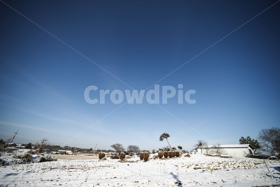 겨울,하늘,들,눈,설경,winter,sky,snow,landscape,풍경,겨울,계절,winter,season,자연,풍경,nature,landscape,ground,바닥,outdoors,옥외