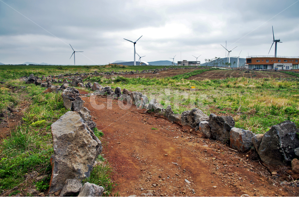 갑마장길,제주도,표선면,가시리,트레일,풍력발전단지,탐방로,자연,풍경,nature,landscape