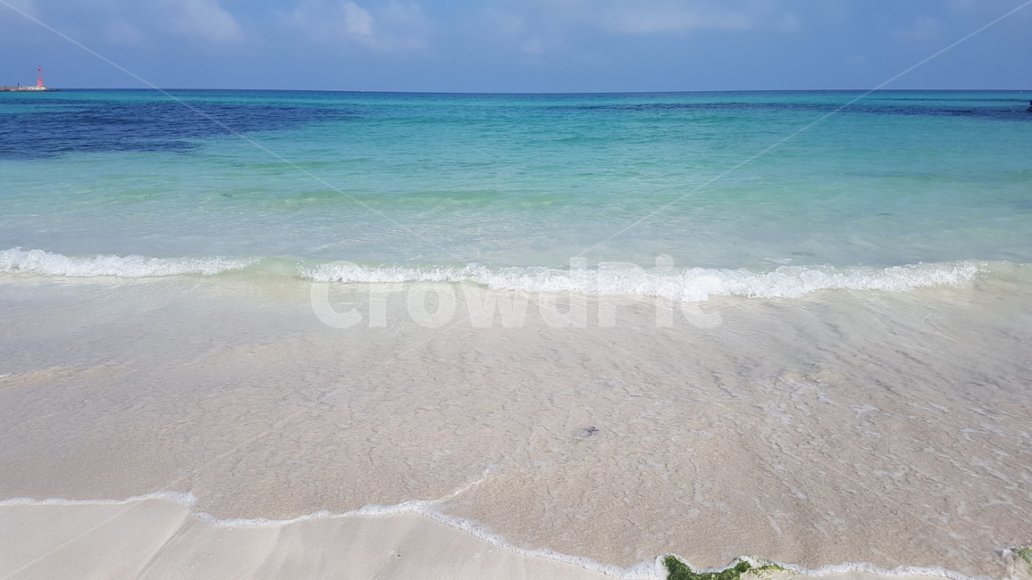 제주도,제주,우도,해수욕장,water,물,shoreline,해안선,nature,자연,outdoors,옥외,ocean,대양,sea,바다,beach,바닷가,파도,wave,blue,푸른바다,자연,풍경,nature,landscape,해변,바다,beach,sea,coast,연안