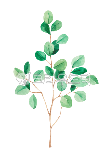 배경,백그라운드,오브젝트,봄,컬러풀,수채화,수작업,일러스트,일러스트레이션,드로잉,꽃,봄꽃,식물,자연,손그림,녹색,초록,그림,초록색,png,누끼,나뭇가지,flower,green,leaf,branch,floral,watercolor,drawing,illustration,spring,painting,blossom,petal,plant,누끼,remove background,그래픽,일러스트레이션,graphic,illustration