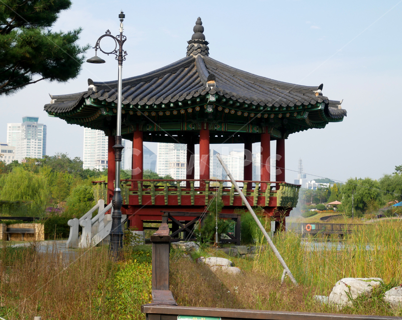 정자,공원,갈대,호수,한국,한국전통,한국문화,korean traditional,korean culture