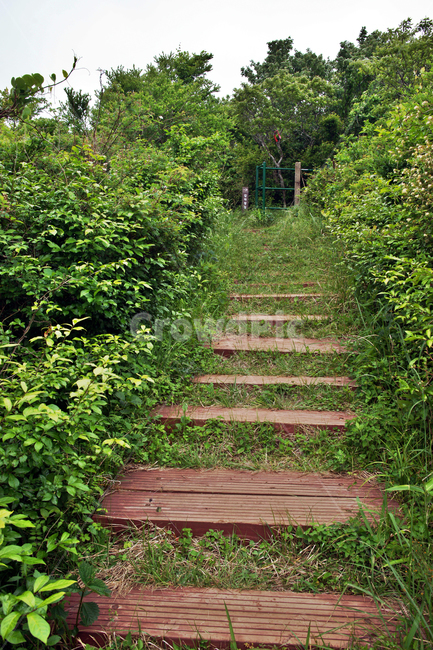 갑마장길,제주도,표선면,가시리,트레일,대록산,탐방로,자연,풍경,nature,landscape