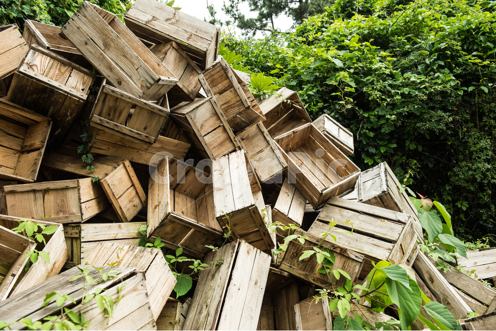 나무상자,애플박스,궤짝,버려진,나무,쌓이다,오래된,과일상자,곰팡이,복잡한,황량한,조용한,배경