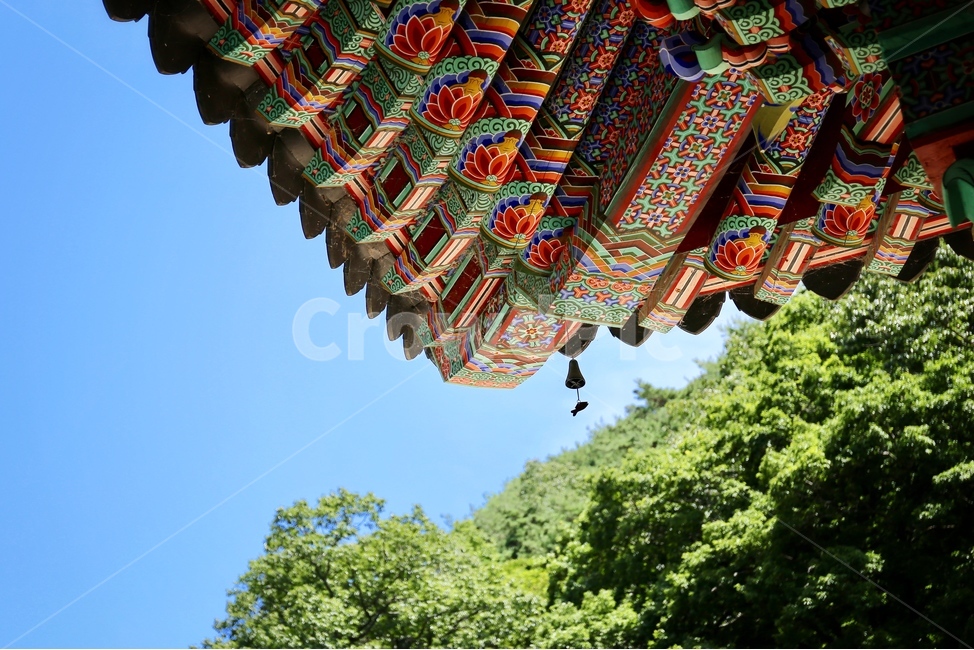 쌍계사,지리산국립공원,절,사찰,대웅전,건축물,건물외관,exterior,building,structure,architecture,construction