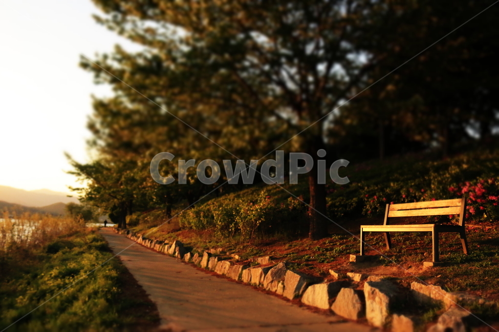 벤치,휴식,노을,초저녁,나무,산책길,산책,꽃,bench,rest,sunset,eveningsun,flower,tree,trail,공원,park