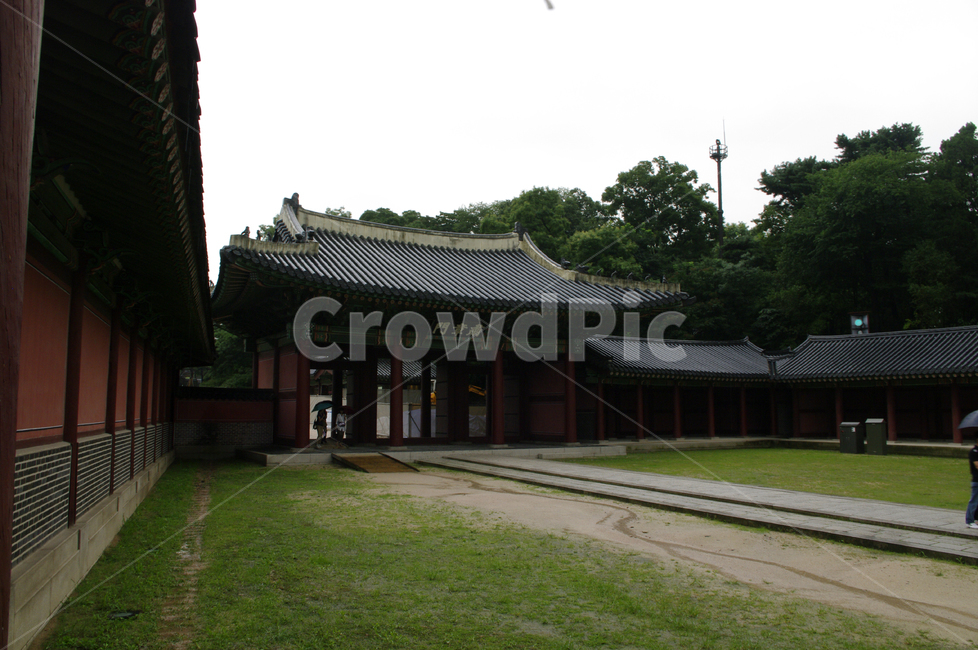 창덕궁,고궁,한옥,전통가옥,기와지붕,건축,traditional,한국전통,한국문화,korean traditional,korean culture,랜드마크,landmark,tourist attraction,한국랜드마크,한국관광지,한국명소,korea landmark,korea tourist attraction,건축물,건물외관,exterior,building,structure,architecture,construction