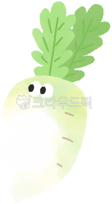 Radish,radish illustration,radish drawing,radish sticker,vegetable,sticker,vegetable,food,delicious,radish design,organic,farming,vegetarian,vegan,ingredients,crops,kimchi,kimchi,character,eyes