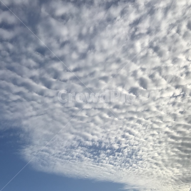 자연,구름,하늘,nature,cloud,sky