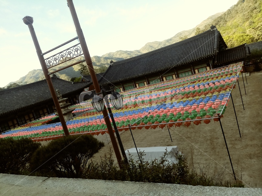 자연,불국사,불교,절,사찰