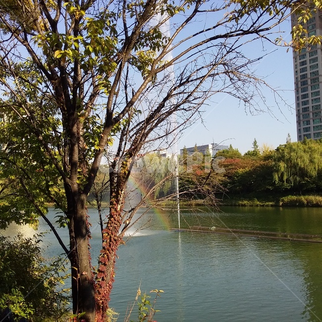 자연,무지개,분수,분위기,감성,식물,자연,plants,nature,나무,trees,wood