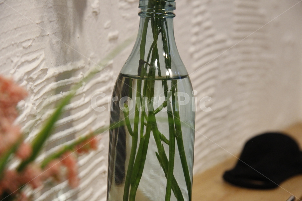 병,장식,나무,식물,꽃꽂이,화기,물,bottle