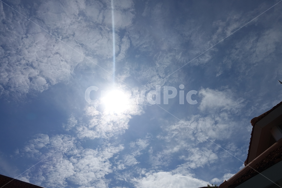 light,빛,플레어,햇빛,sunlight,자연