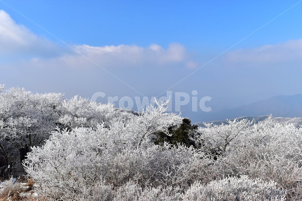 소백산,눈꽃풍경,상고대,겨울풍경,국립공원,겨울동화,힐링,감성,아름다움,뷰티풀,설국,눈풍경,파란하늘,100대명산,겨울명산,설경,서리꽃,snow,landscape,눈,화이트,자연,신비로운,경이로운,천상,비경,치유,산,명산,자연풍경,늦가을,영주,단양,풍기,희방사,삼가리,비로봉,연화봉,겨울,계절,winter,season,자연,풍경,nature,landscape,한국자연풍경,한국자연경관,korea nature landscape,outdoors,옥외,ice,얼음