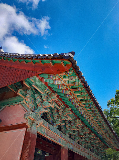 한옥,건물,architecture,건축물,temple,worship,예배,shrine,탑,pagoda,신사,hanok,traditional,전통적인,전통,한국전통,한국문화,korean traditional,korean culture