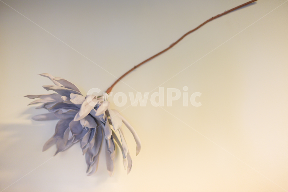 벽,인테리어소품,인테리어,카페인테리어,드라이플라워,플라워,dryflower