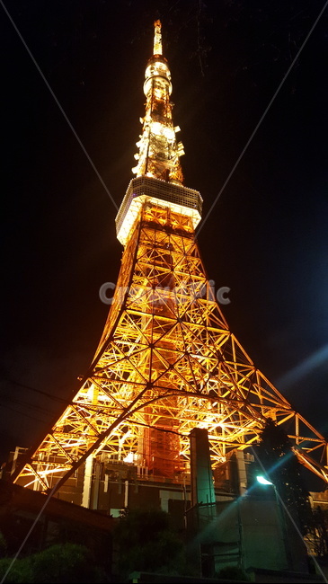 도쿄타워,동경타워,tokyotower,랜드마크,도쿄,일본