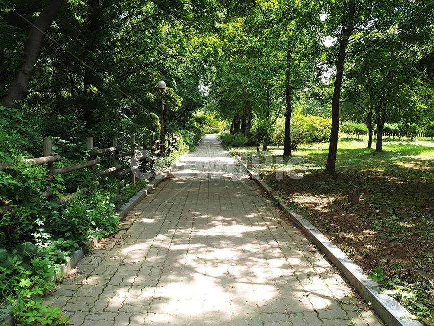 flagstone,판석,path,통로,공원,공원길,풍경,배경화면,자연,풍경,nature,landscape