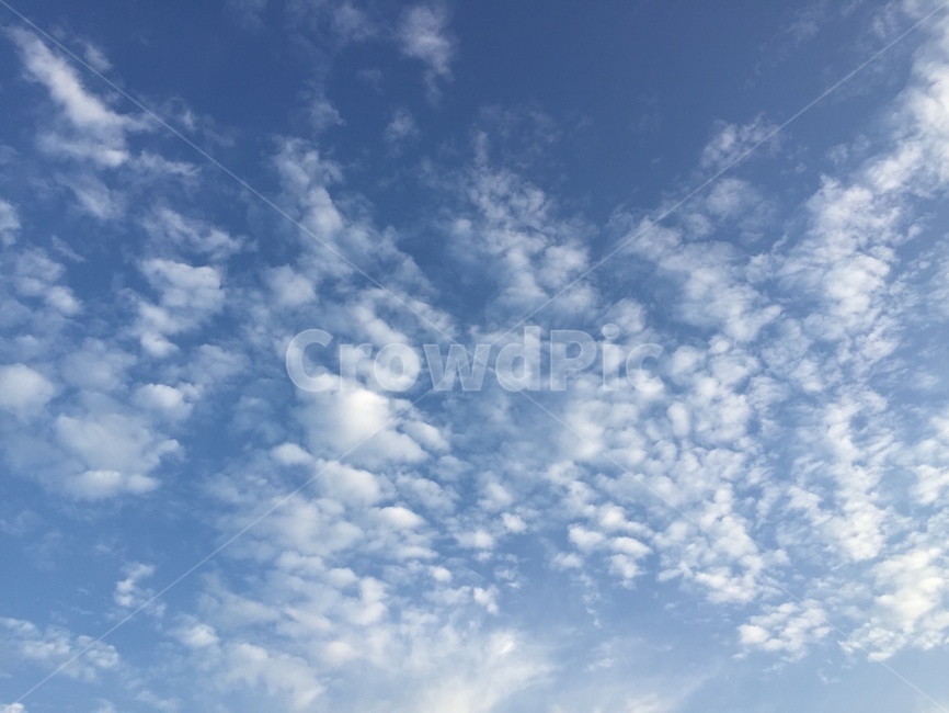 하늘,푸르른,가을,구름,파랑