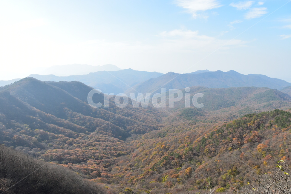 자연,풍경,단풍,계절,가을,잎,붉은,노란,낙엽,나무,백암산,fall,autumn,season,nature,landscape,한국자연풍경,한국자연경관,korea,tree,maple,leaf,가을,계절,fall,autumn,season,자연,풍경,nature,landscape,outdoors,옥외,mountain,산