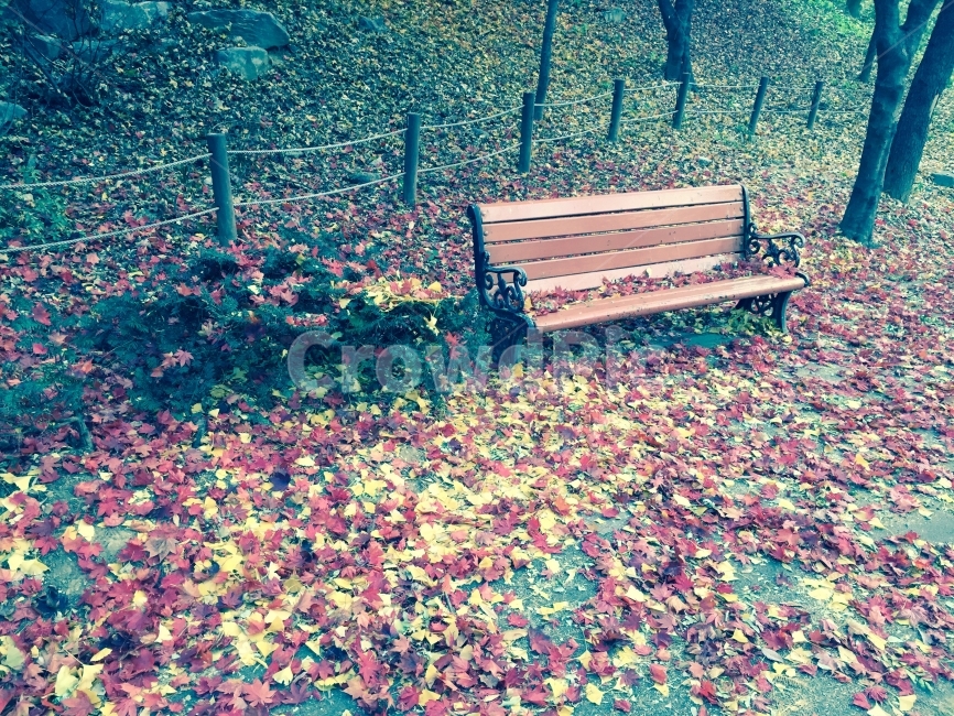 가을,공원,벤치,낙엽,공허함,가을,계절,fall,autumn,season,furniture,가구,bench,paper,종이