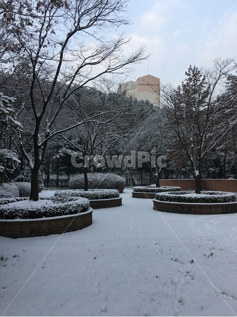 nature,자연,snow,옥외,눈,겨울,산