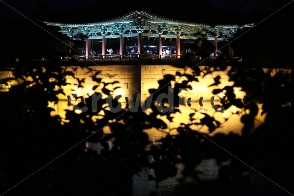 경주,안압지,야경,풍경,식물,자연,조화,사람,여행,밤,어둠,나무,나뭇잎,잎,실루엣,조명,문화유산,전통,한국,한국전통,건축,야간개장,야간,동궁과월지,호수,연못,저수지,문화,한국건축,통일신라,tree,nature,plant,structure,architecture,traditional,culture,감성,야경,밤,풍경,nightscape,night,landscape,랜드마크,landmark,tourist attraction,한국전통,한국문화,korean traditional,korean culture,건축물,building,건물