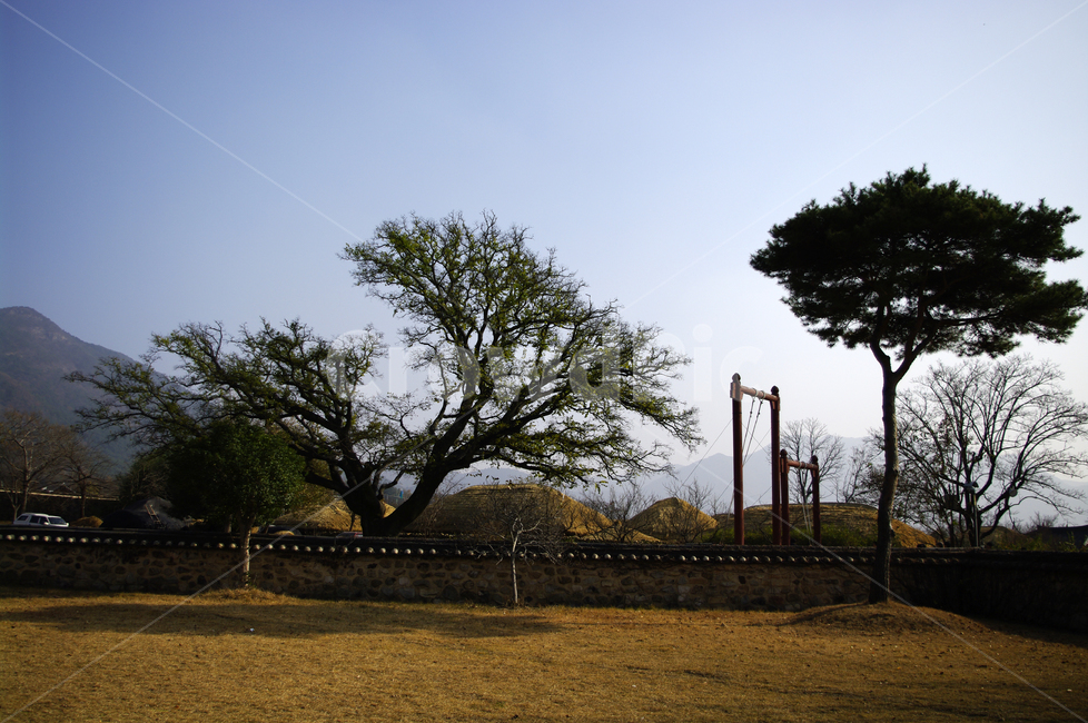 담장,나무,식물,plant,하늘,한국전통,한국문화,korean traditional,korean culture,건축물,건물외관,exterior,building,structure,architecture,construction