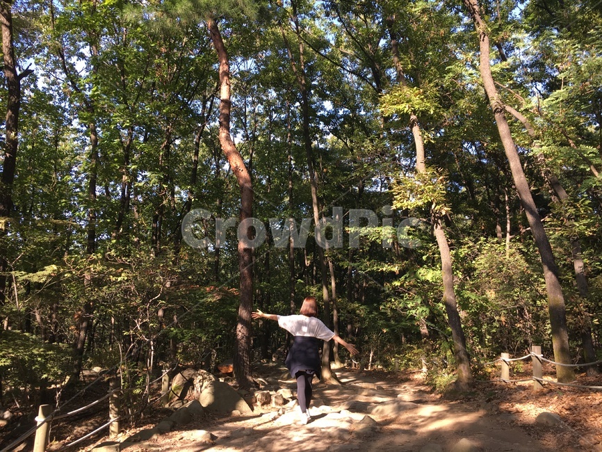 관악산,등산,소풍,여행,여자,전신,자유,가을,봄바람,봄,나들이,산,봄,계절,spring,season,사람,인물,인간,human,person,여성,여자,woman,female,lady,여행,휴가,traveling,vacation,trip,tree,나무,plant,식물,tree trunk,나무 줄기