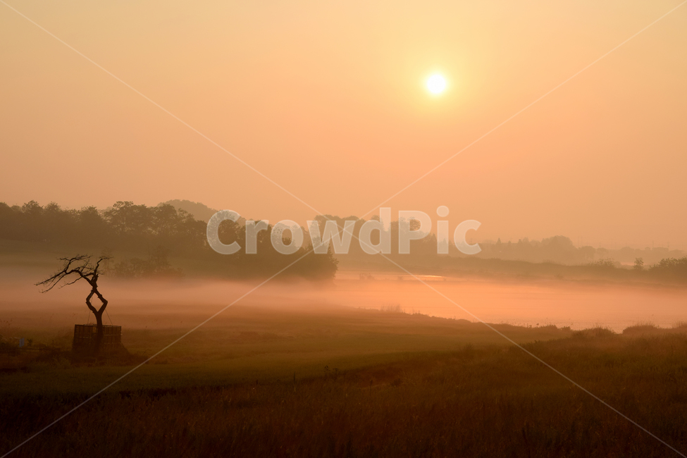 해,태양,일출,동틀녁,안개,물안개,sun,sunrise,fog,자연,풍경,nature,landscape,outdoors,옥외,weather,날씨