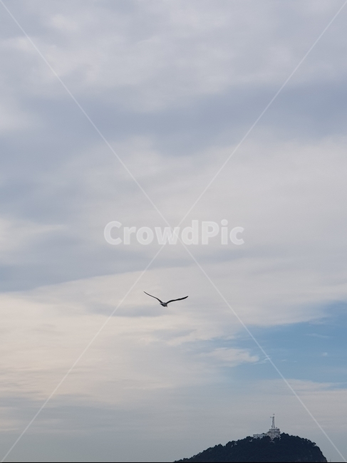 새,구름,하늘,sky,cloud