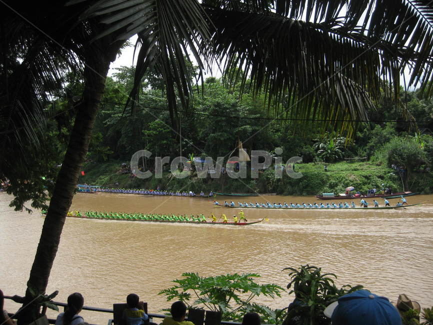 동남아,boatrace,festival,boat,강,river,race,경주