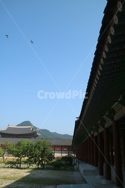 궁전,고궁,한국,한국전통,건축,건물,동양건축,전통가옥,한옥,문화재,대한민국,전통,민속,한국전통,한국문화,korean traditional,korean culture,랜드마크,landmark,tourist attraction,한국랜드마크,한국관광지,한국명소,korea landmark,korea tourist attraction,건축물,건물외관,exterior,building,structure,architecture,construction
