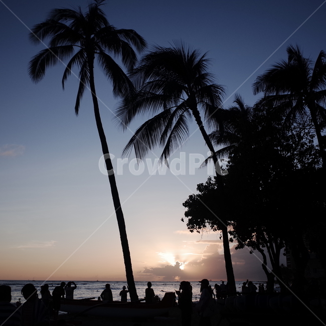 감성사진,일몰,노을,선셋,여행,해변,여름,야자수,바다,하와이,와이키키,해외,summer,sunset,travel,trip,hawaii,waikiki,beach