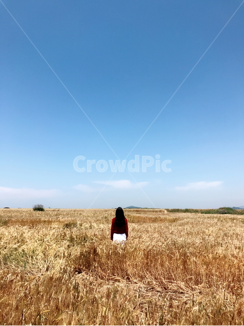 풍경,하늘,구름,청보리,인물