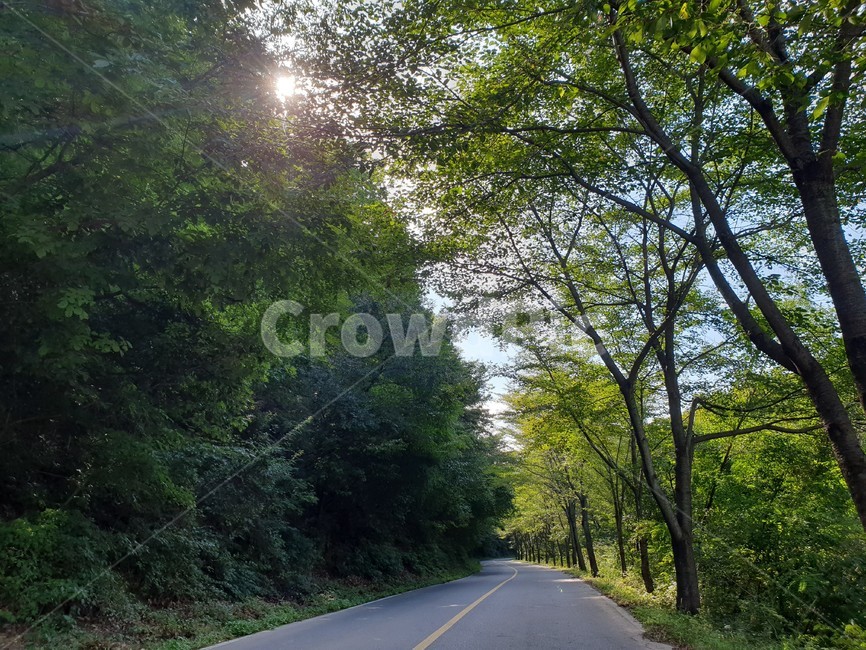 산,구름,파랑,bluesky,녹색초록,green,자연풍경,여름,나무,숲