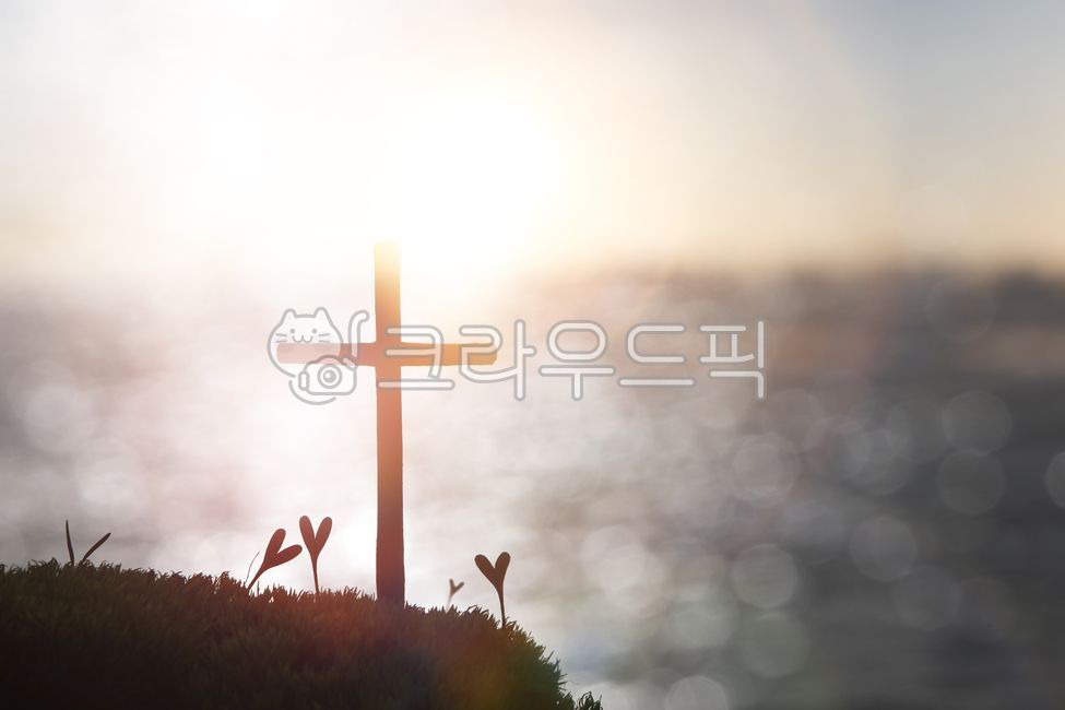 십자가,하트,사랑,예수그리스도,햇빛,반짝이는,아름다운,은혜,풀,바다,식물,배경,하나님,예수님,밝은,빛,광선,고난,고통,죽음,부활,믿음,신앙,종교,교회,거룩한,기독교,천주교,복음,선교,예배,기도,명상,묵상,성경,사순절,고난주간,부활절,반짝이다