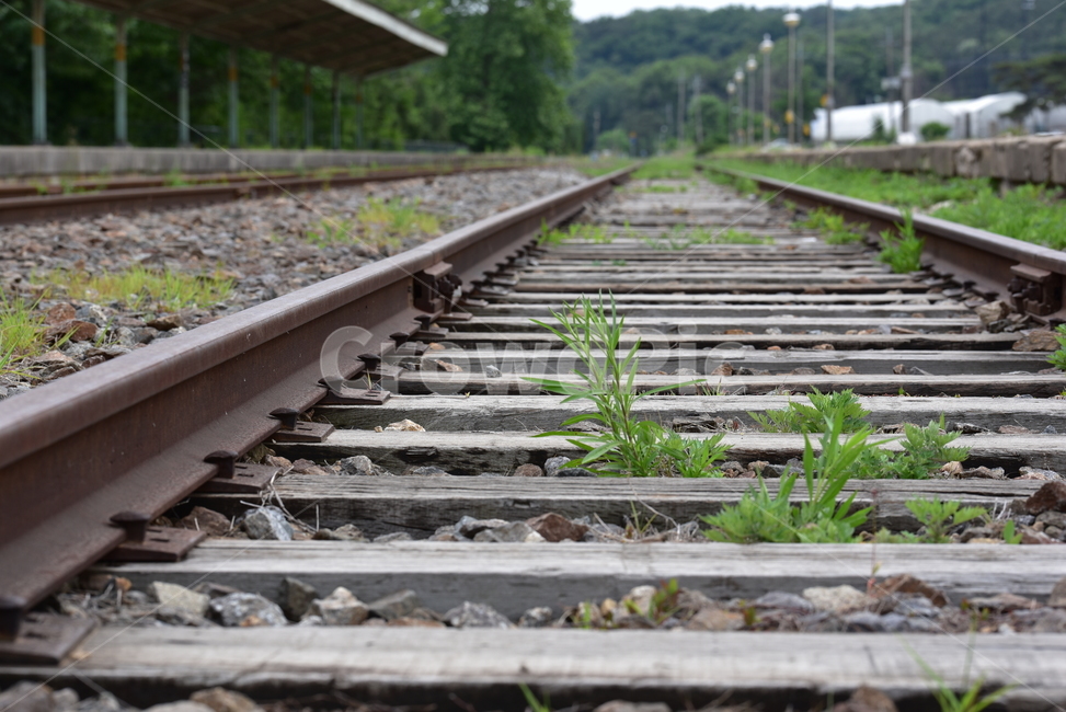 일영역,폐역,교외선,열차,신호기,플랫폼,옛역,rail,레일,traintrack,기찻길,railway,철도,transportation,교통,교통,교통수단,traffic,transportation