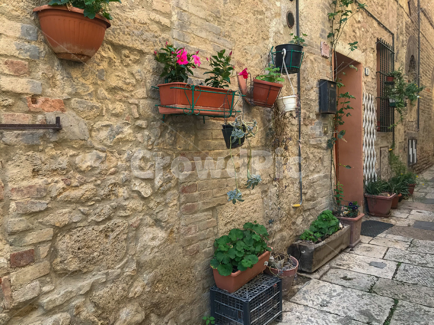 이탈리아,소도시,꼴레디발델사,italy,이태리,해외,유럽,중세도시,colledivaldelsa,골목길,골목,돌담,돌담길,마을,길거리,벽,italia,화분