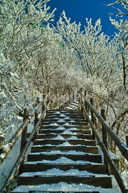 겨울,상고대,눈꽃,계단,나무,겨울산,겨울,계절,winter,season