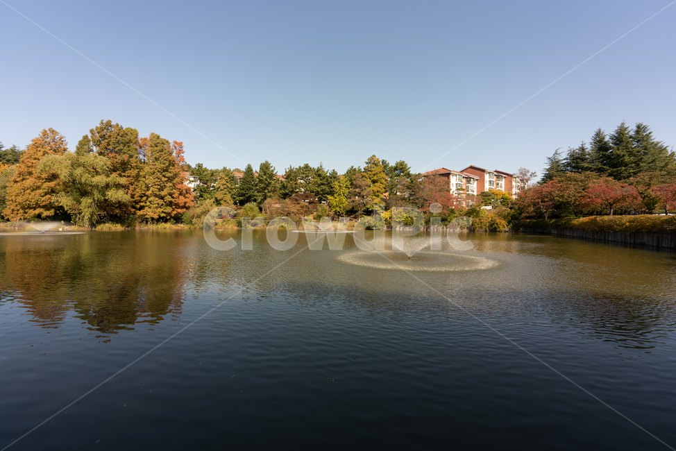 포항,지곡,영일대,호수,자연,자연,풍경,nature,landscape