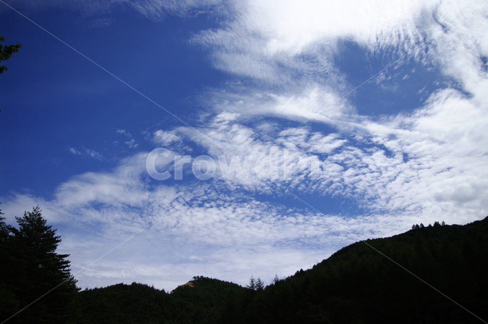 하늘,구름,나무,식물,color,자연,풍경,nature,landscape,outdoors,옥외
