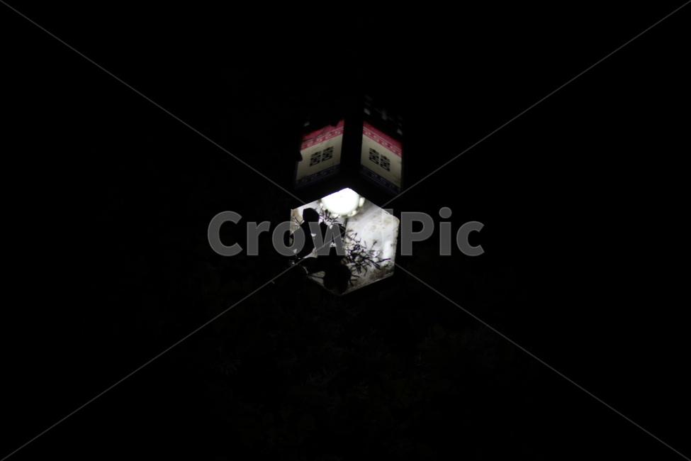 가로등,불빛,밤,고요함,거리,야경,밤,풍경,nightscape,night,landscape,nature,자연,outdoors,옥외