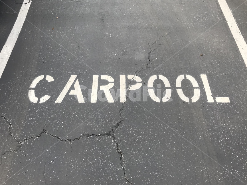 carpool,asphalt,아스팔트,tarmac,공동,주차장,페인트,글씨,카풀,동승,동승통행,동승통행주차장,주차,parking,parkinglot,carpoolparking,미국주차장,미국주차