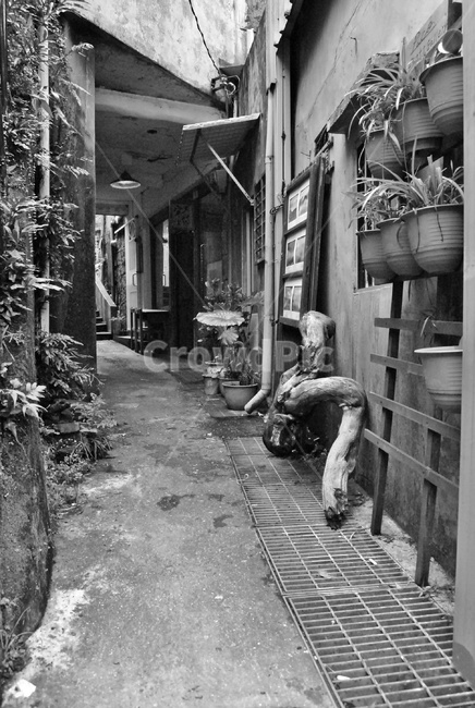 거리,골목,도로,건물,street,town,building,road