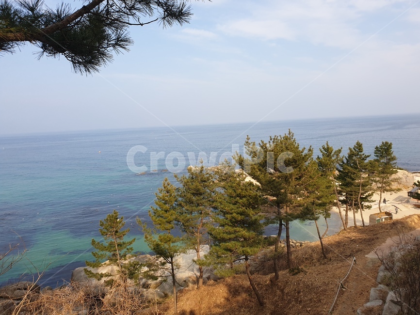 산,바다,풍경,자연,동해
