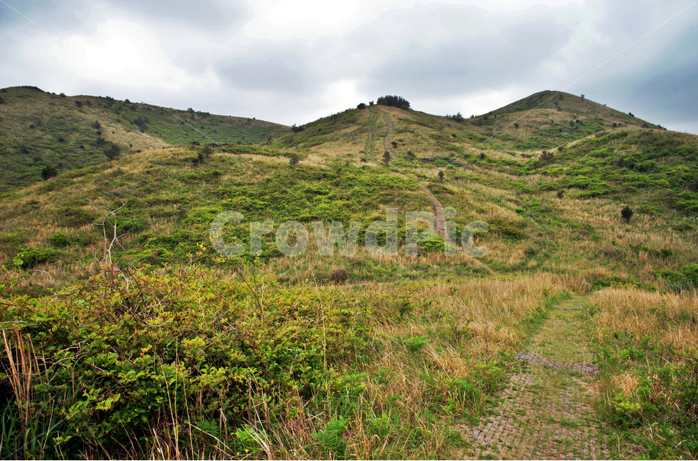 갑마장길,제주도,표선면,가시리,트레일,오름,따라비오름,탐방로,자연,풍경,nature,landscape,제주도,jeju,jeju island