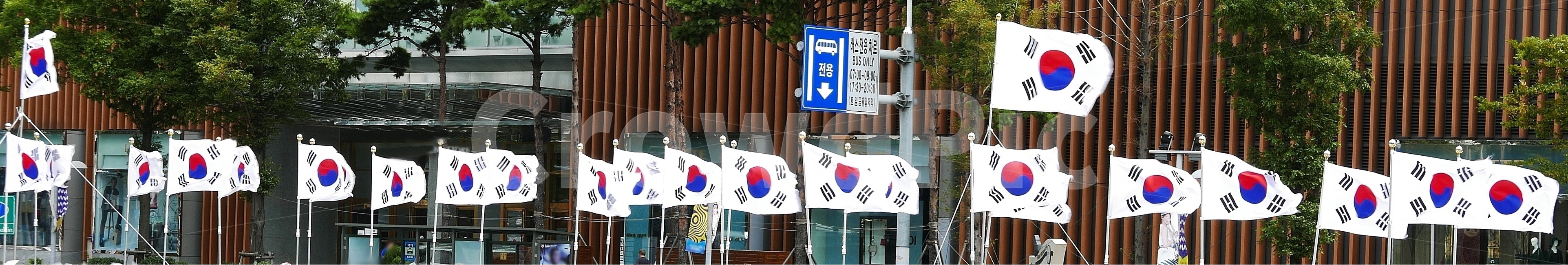 태극기,태극,국기,깃발,대한민국,한국,도시,공원,도로,애국심,휘날리는,깃봉,깃대,하늘,펄럭,펄럭이는,문양,건곤감리,건,곤,감,리,사괘,4괘,국기다는날,광장,행사,기념일,삼일절,제헌절,광복절,개천절