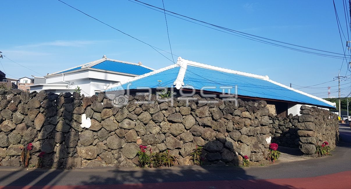 sidewalk,farm house,stone wall,road,blue roof,stonewall,cockscomb,Doldam house,house,flower